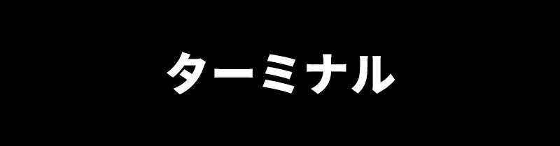 Chromiumはターミナルから起動