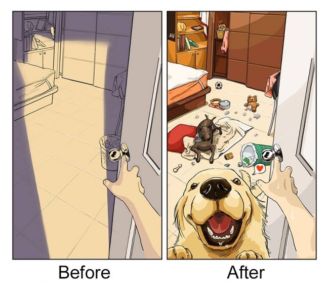 720205-650-1455196639-life-before-dog-vs-life-after-dog-mai-john__880