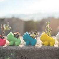 フシギダネのミニミニ鉢植えが超絶カワイイ!!