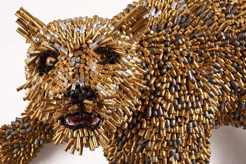 Leopard-detail
