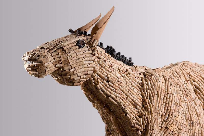 donkey-detail