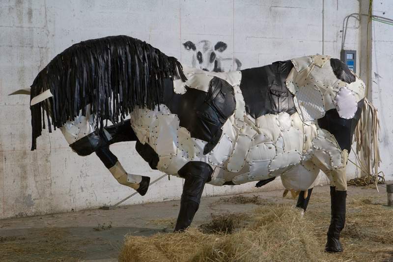 vacallo