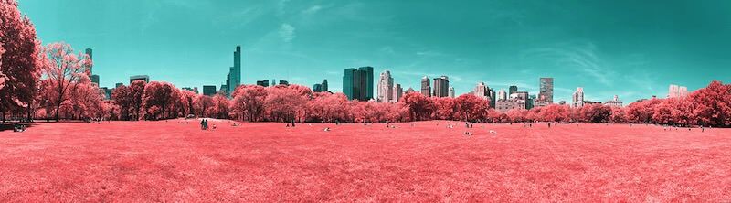 715a3e37307995.573c8a3805977_800 x222