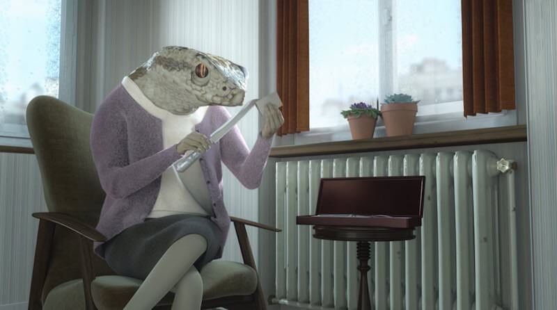 animalmoture 1_800x446.jpg Animalmoture 1 800x446