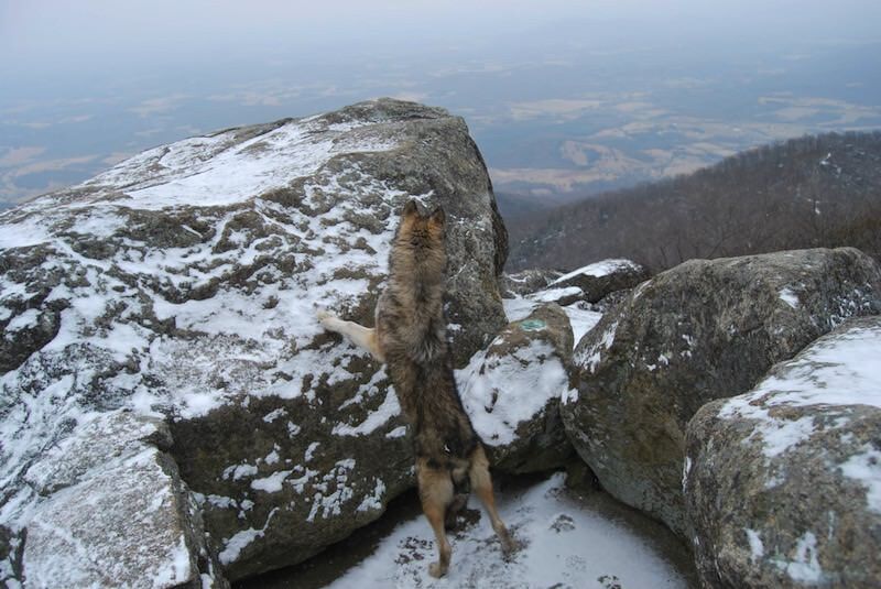 ji0iQZm_800x535.jpg Ji0iQZm 800x535